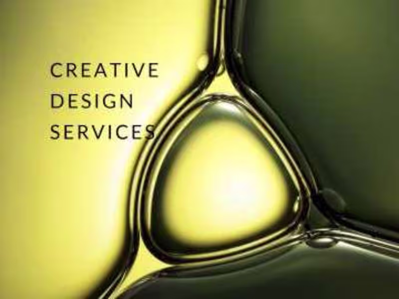 Cover image for Transform Your Brand with Stunning Visuals