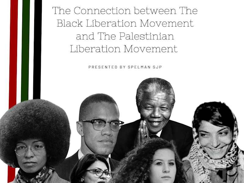 Cover image for Social Media Content for Local Student Activist Organization