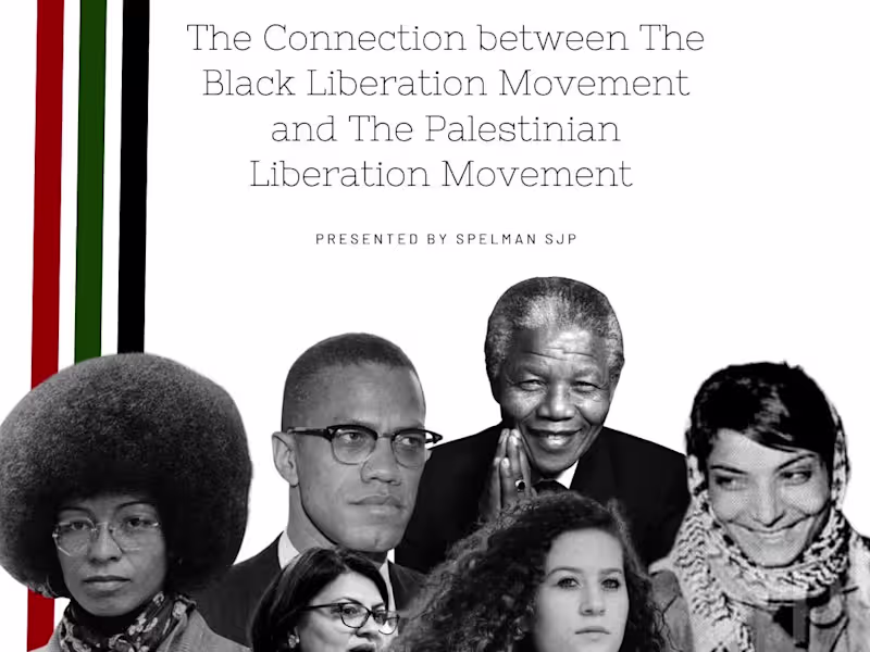 Cover image for Social Media Content for Local Student Activist Organization