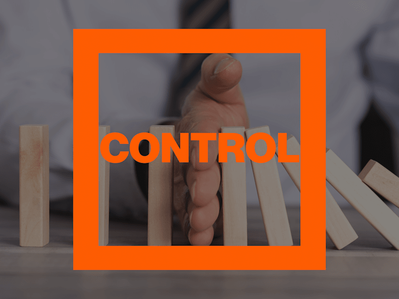 Cover image for Control Environment Narrative 