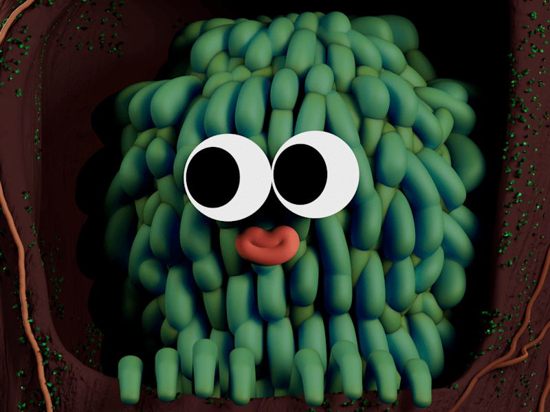 Cover image for Who’s hiding in the hollow? 3D animation