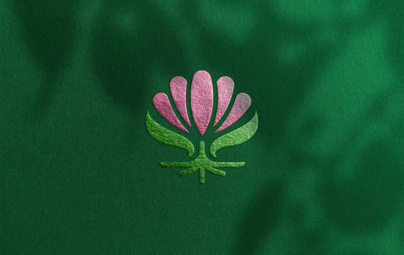 Cover image for ROOT & BLOOM