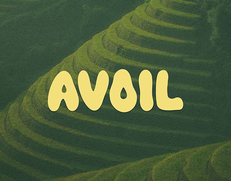 Cover image for Avoil