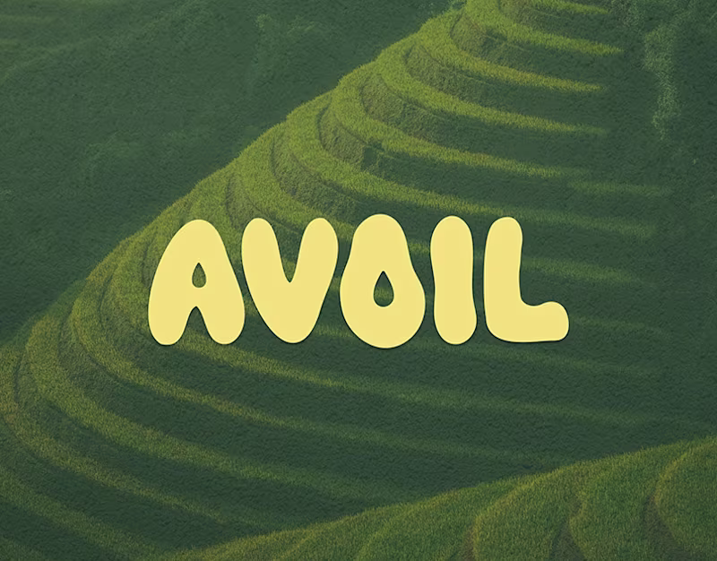 Cover image for Avoil