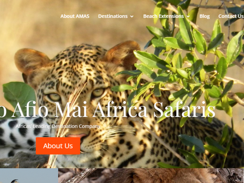 Cover image for Web Development, SEO Optimization & Marketing Consultant