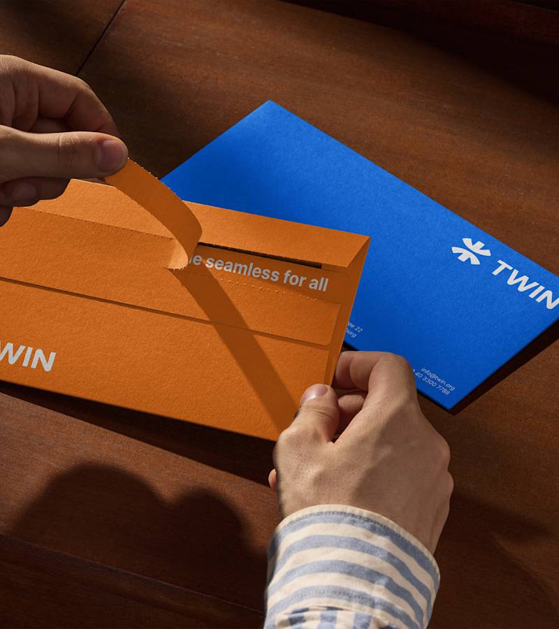 Cover image for TWIN Branding and Digital Presence Development