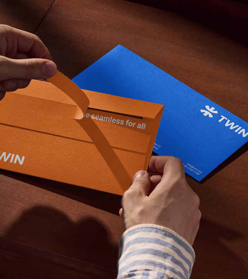 Cover image for TWIN Branding and Digital Presence Development