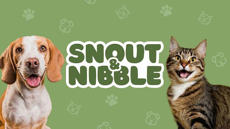Cover image for Fun & Organic Branding for Snout & Nibble