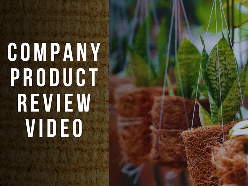 Cover image for company product  review - YouTube
