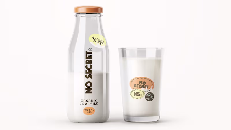 Cover image for No Secret Cool: Modern Diary Brand Identity