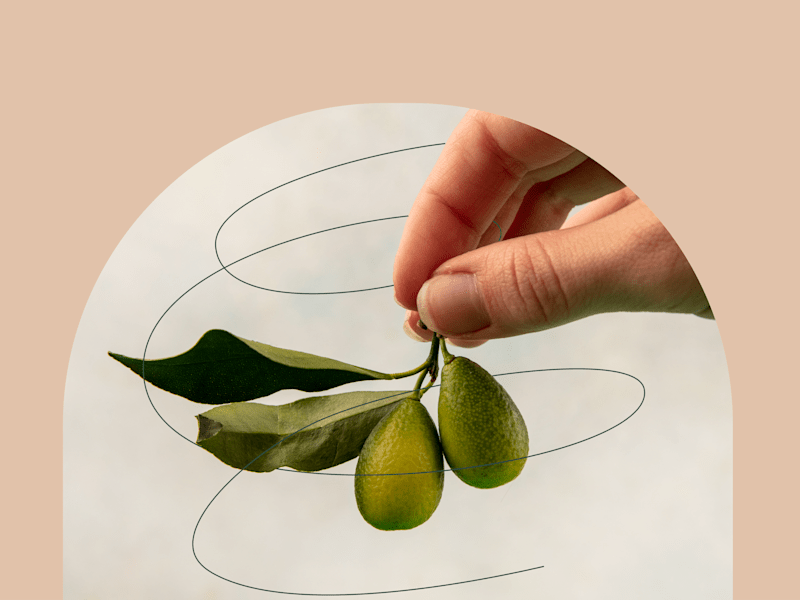 Cover image for Brand Identity Kit for Agri Tech Startup