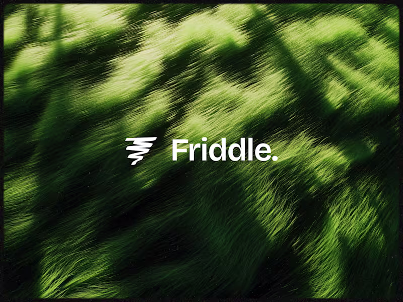 Cover image for Friddle Logo Design.