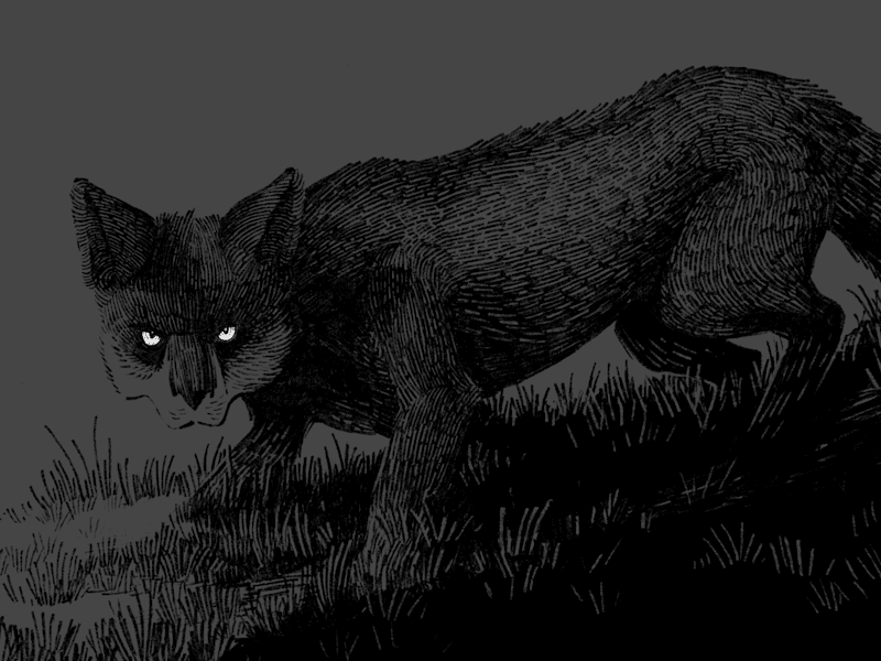 Cover image for Bespoke Illustration for top-shelf products.