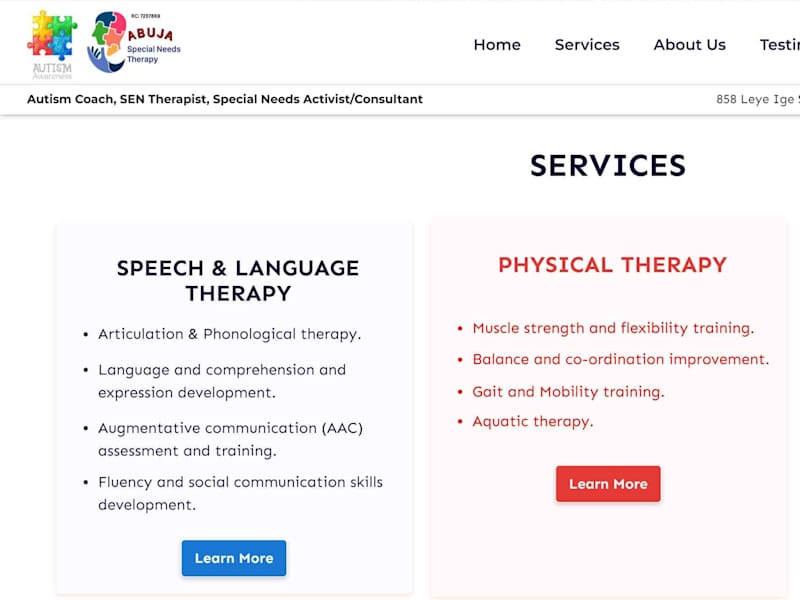 Cover image for Abuja Special Needs Therapy Limited