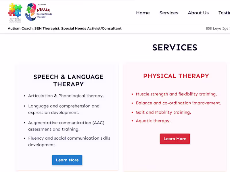 Cover image for Abuja Special Needs Therapy Limited