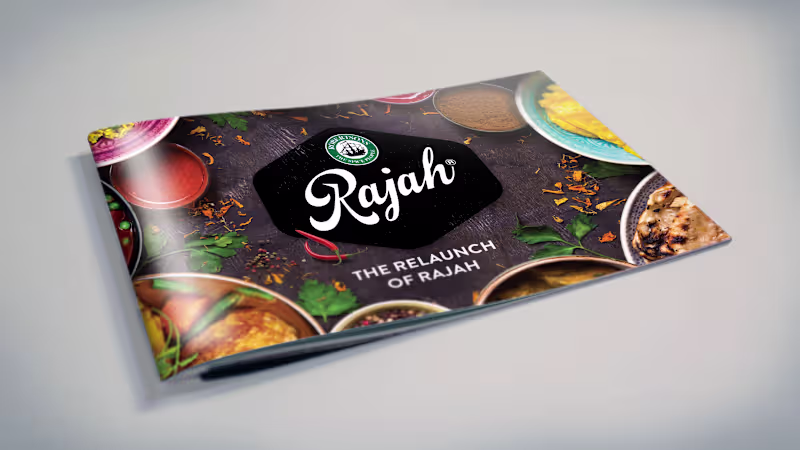 Cover image for Trade Presenter design for Robertsons Rajah Spice brand.