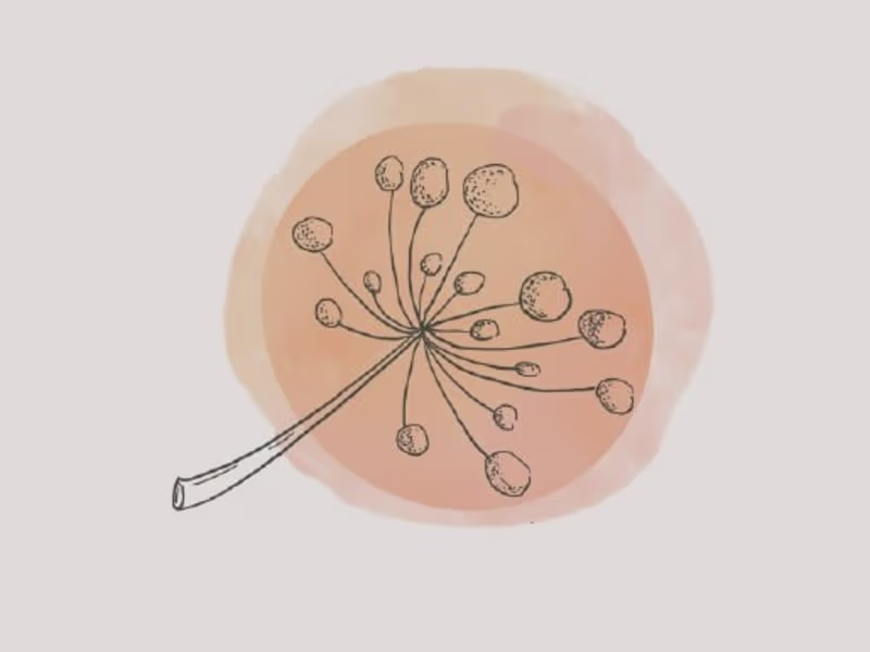 Cover image for Some infographics from 2021