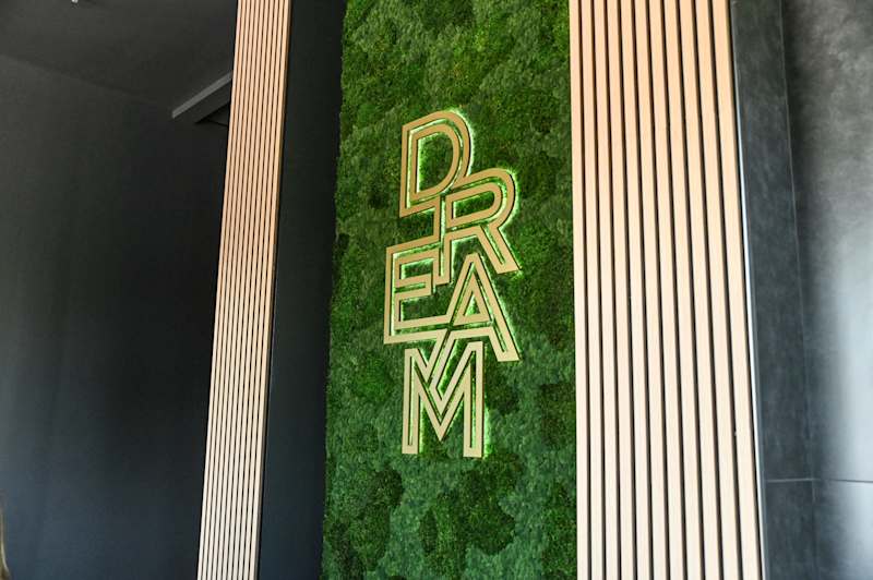 Cover image for Pro Forma Forecasting for Growth - Dream Yoga & Wellness Studio