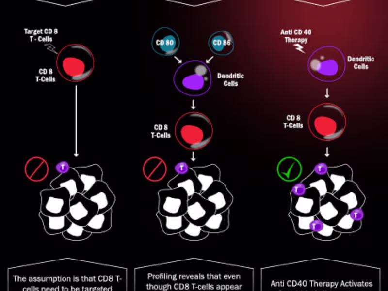Cover image for Medical/Scientific Illustrations