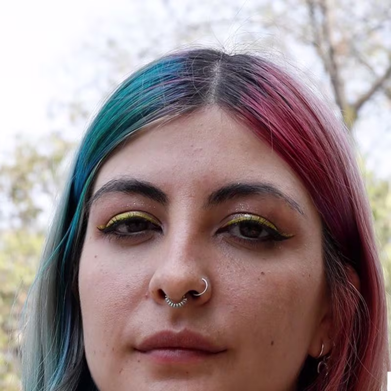 Cover image for Converse 