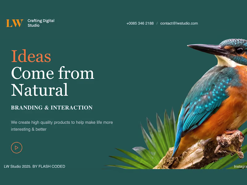 Cover image for Bolt.new Expert Designer