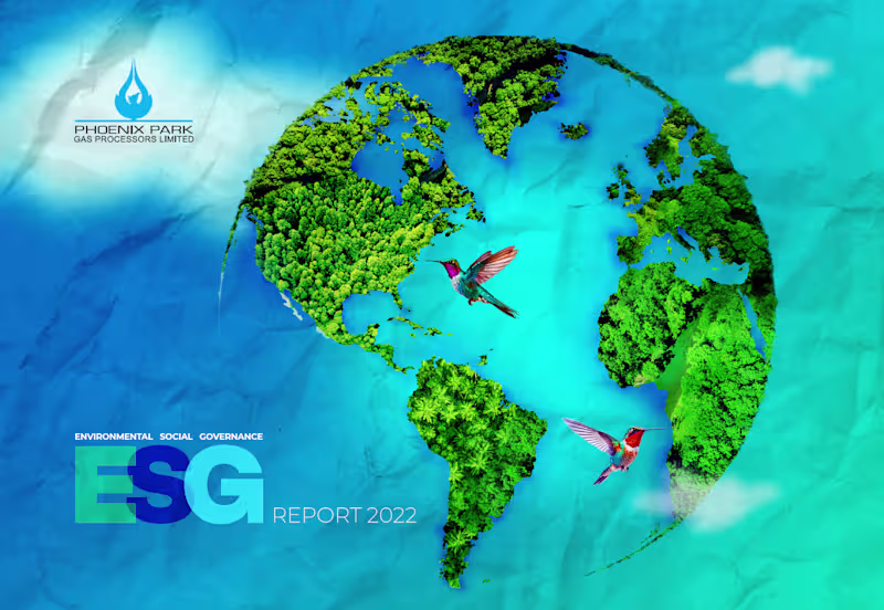 Cover image for Supported the development and narrative