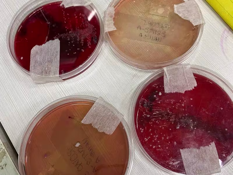 Cover image for Your Virtual Assistant 