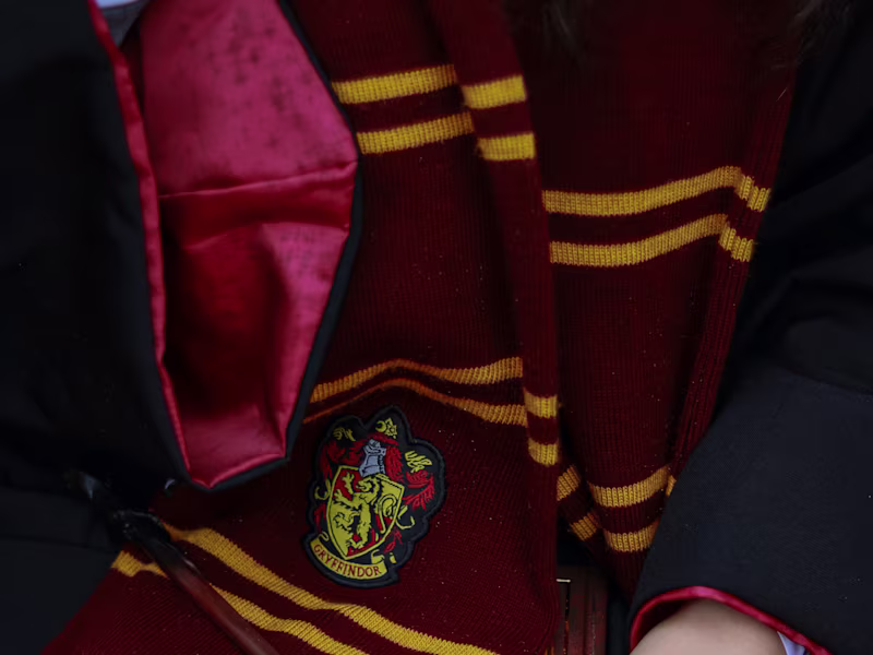 Cover image for 10 Harry Potter Theories: Canon or Fanon?