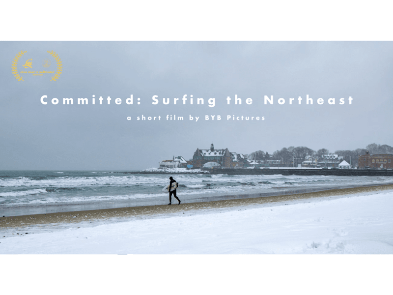 Cover image for Committed: Surfing the Northeast