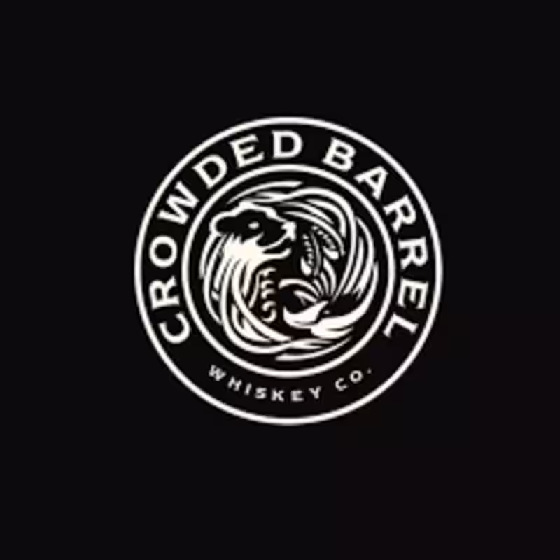 Cover image for Professional Graphic Designer  