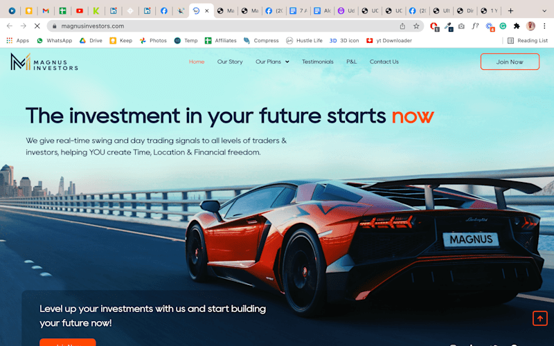 Cover image for Magnus Investors