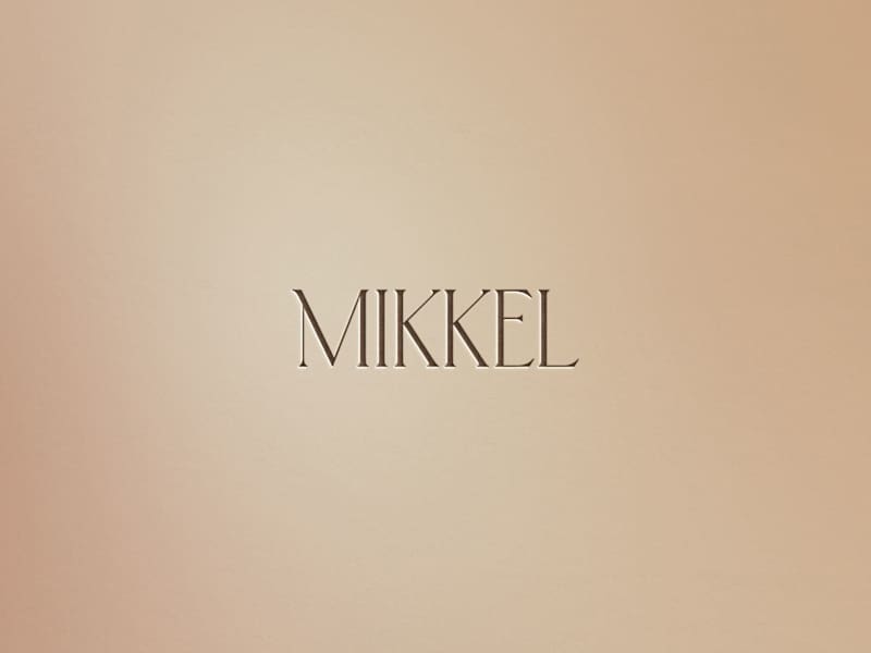 Cover image for Mikkel Swimwear | Honey & Co. Creative | Branding Studio