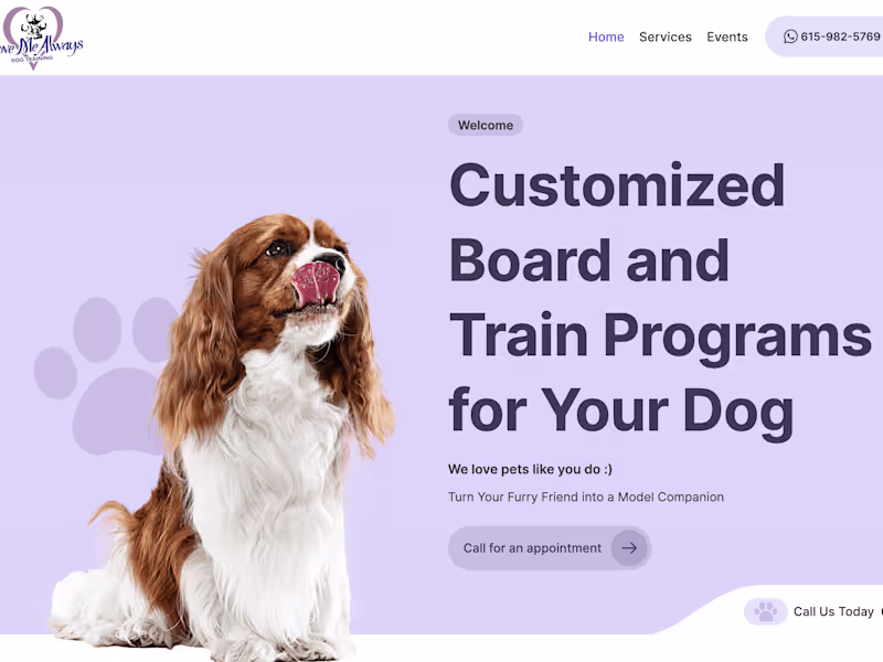 Cover image for Doggy Board and Train Website/Copywriting