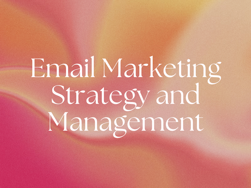 Cover image for Email Marketing Management and Strategy