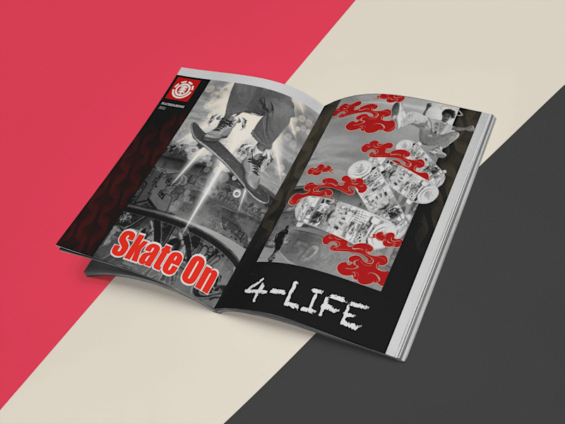 Cover image for Style and Design  element skateboard editorial 