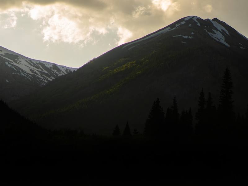 Cover image for Showreel