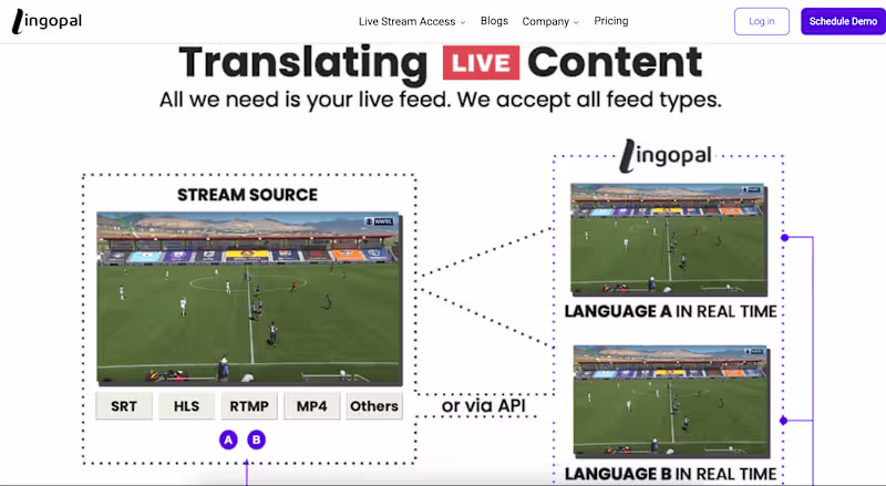 Cover image for Lingopal.ai