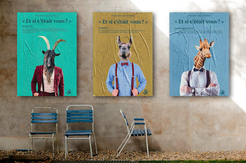 Cover image for Posters