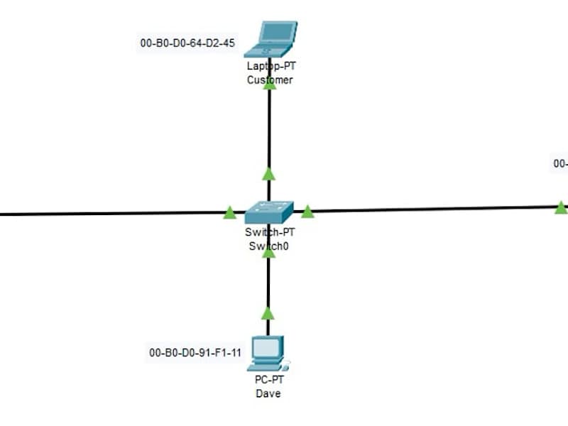 Cover image for Networking 