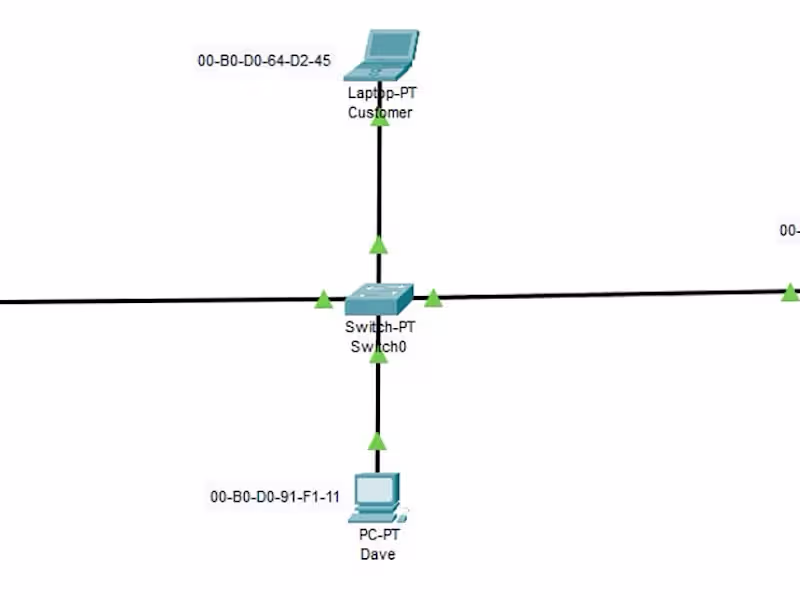 Cover image for Networking 