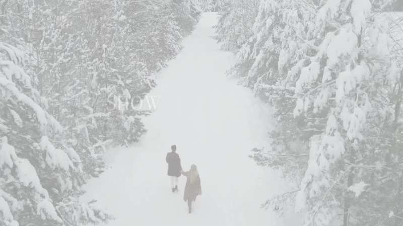 Cover image for Mysterious her book trailer 
