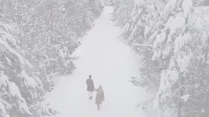 Cover image for Mysterious her book trailer 