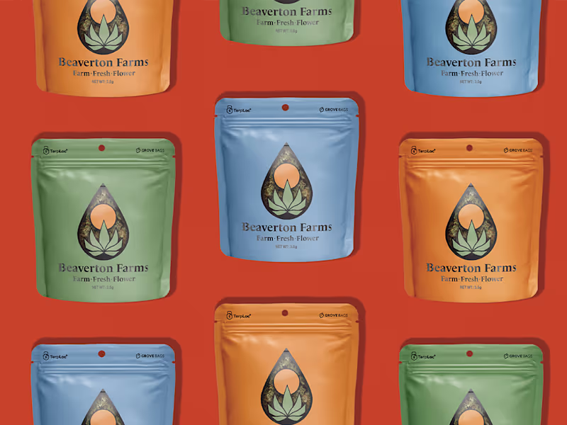 Cover image for Brand Sprint — Identity & Campaign System