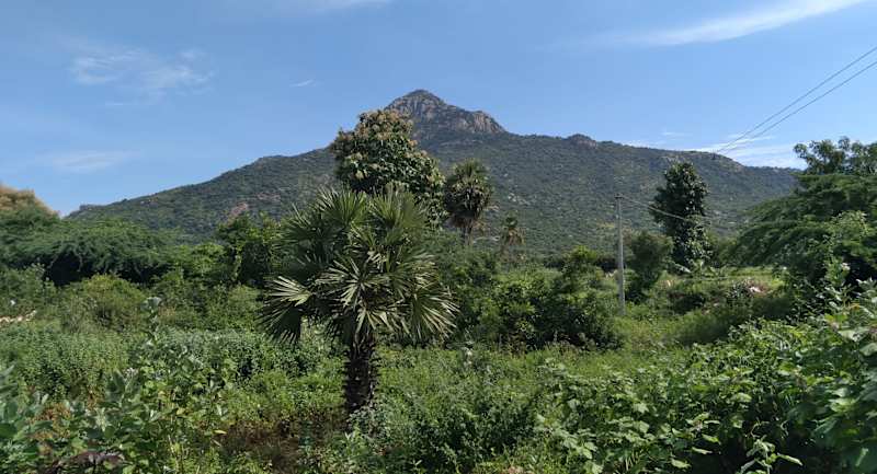 Cover image for Girivalam 46: My Pilgrimage at Arunachala