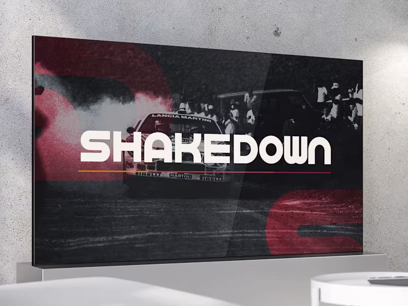 Cover image for SHAKEDOWN - Branding