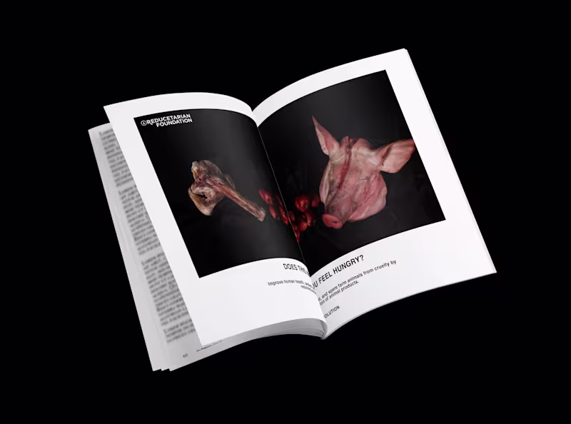 Cover image for REDUCETARIAN FOUNDATION