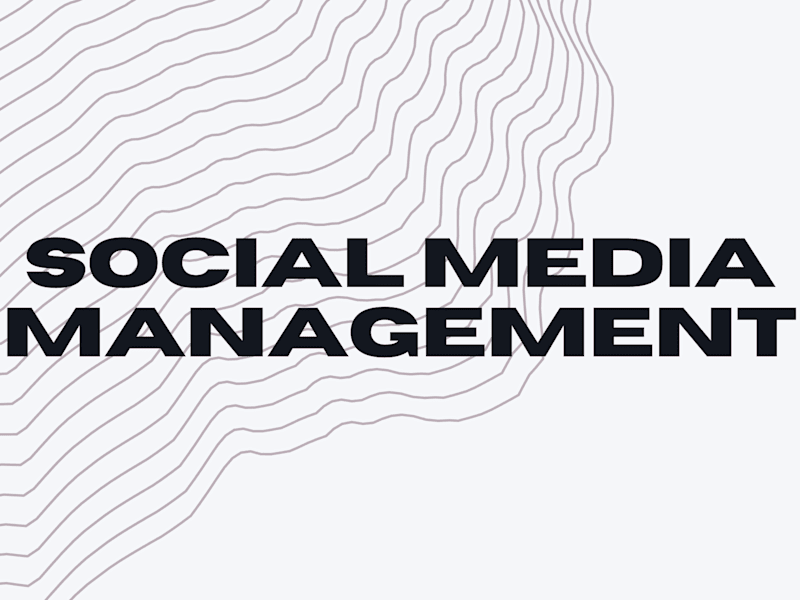 Cover image for Social Media Management