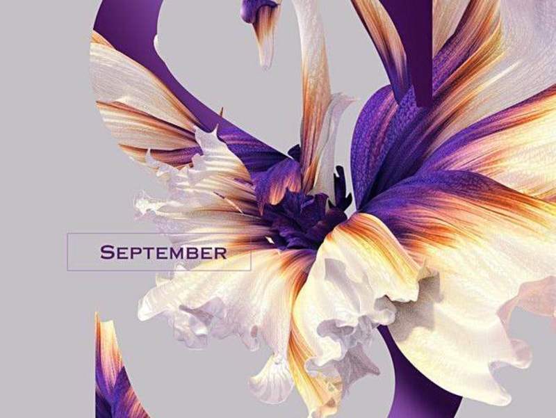 Cover image for  Custom Logo and Card Design Services for Weddings and Gathering