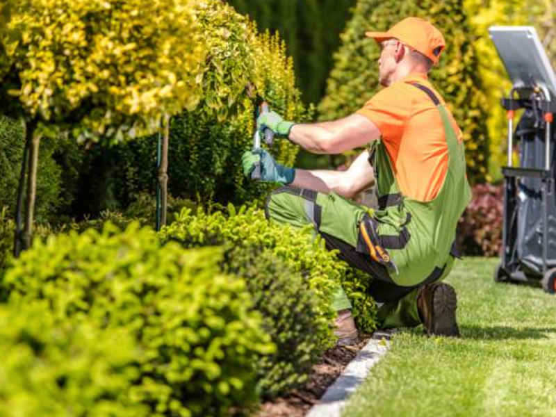 Cover image for Sales Page for Landscaping Business
