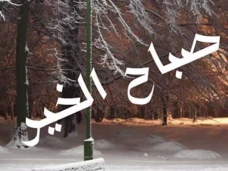 Cover image for Freelancer writer